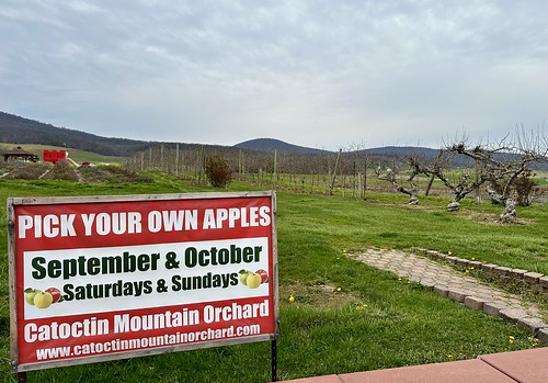 Catoctin Mountain Orchard Sign