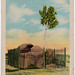 "On Union Pacific Railroad" - Tree Rock on Lincoln Highway, near Laramie, Wyo.