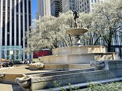 New York City-Fifth Ave•Pulitzer Fountain ⛲️