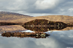 Reflections: Loch na h-Achlaise, Rannoch Moor, Highlands, Scotland.