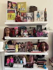 Vintage Barbie Collection Shelf