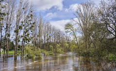 The river in flood