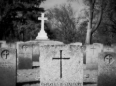 headstones and cross Woodland Cemetery pinhole