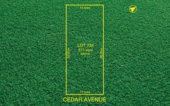 3 Cedar Avenue, Davoren Park SA