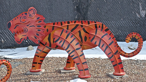 Tiger On Parade