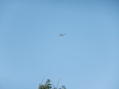 Aeroplane in blue sky