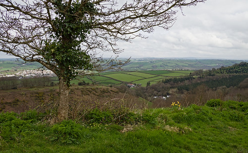 Bableigh and Landkey - from east of Codden Hill