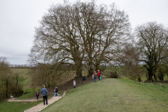 The Wishing Tree, Avebury, Wiltshire