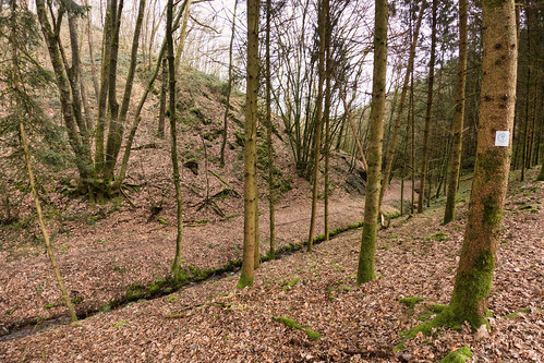 Forest path near Erpeldange-sur-Sûre