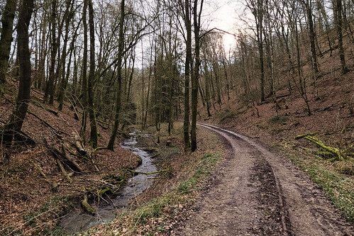 Creek near Diekirch