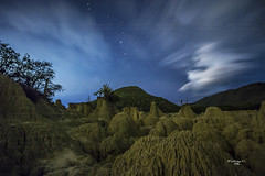 Noches en la Reserva de la Biósfera Tehuacán - Cuicatlán, Puebla - México