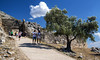 Entrata alle rovine di Micene - Entrance to the ruins of Mycenae