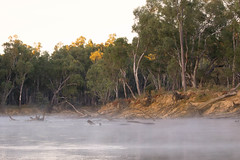 Murray River mist, Northern Victoria