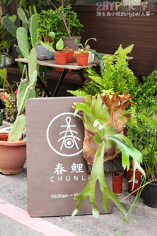 春鯉chunli-台中中區小吃肉夾膜水餃中式料理咖哩廳 (4)