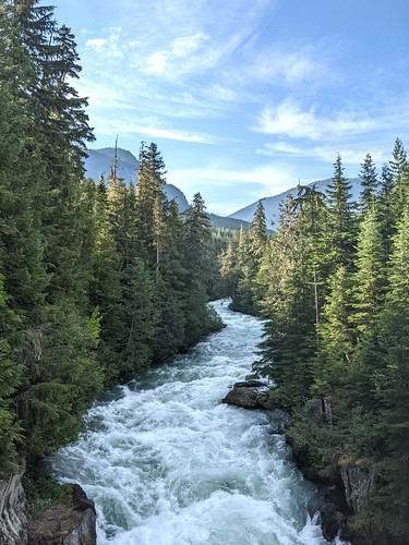 White water of the Cheakamus River at McLaurin's Crossing