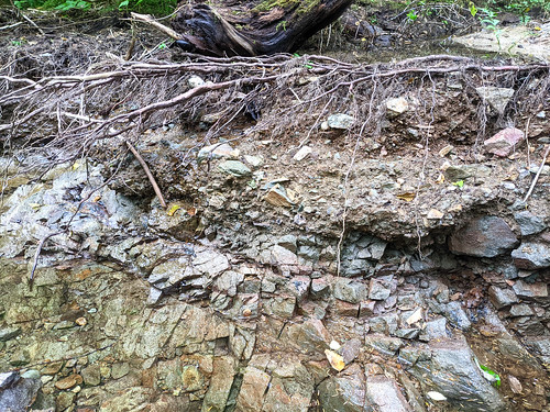 Soil and rock profile in the forest after atmospheric river flood erosion
