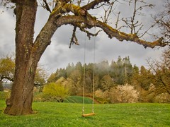 Swing Orchards 8155 A (Explored)