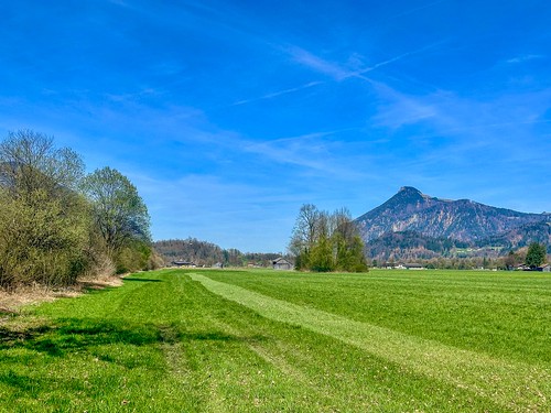 Field in spring with Kranzhorn mountain near Kiefersfelden in Bavaria, Germany