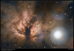 The Flame Nebula - NGC 2024