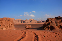 Désert Wadi Rum Jordanie_3041