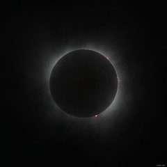 Luna Sol images