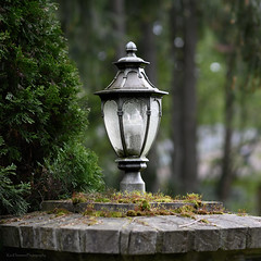 Victorian Gothic Driveway Light (same on both sides of the driveway)
