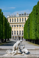 Schönbrunn Palace garden
