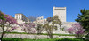 2024-04-04 (13) Arles. Abbaye de Montmajour (X-XVIIIe sicles)