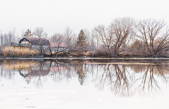winter reflections