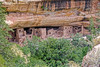 Engulfed in Memories to Share with Mesa Verde National Park