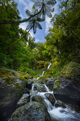 Waiotemarama Falls - Northland, NZ (2024)