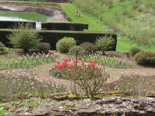 Tulip borders on the terrace down to the Mirror Pool at Upton House and Gardens