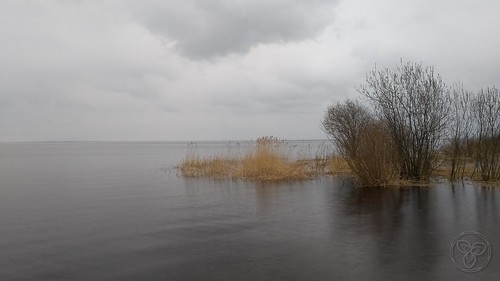 Ладожское озеро. Апрель. Дождь