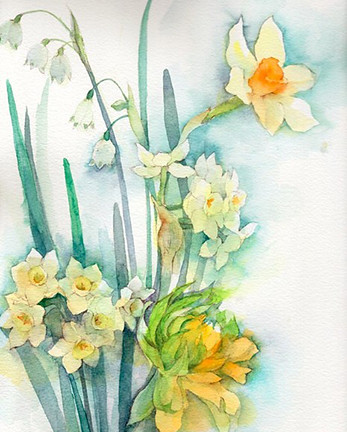 Daffodils and summer snowflake