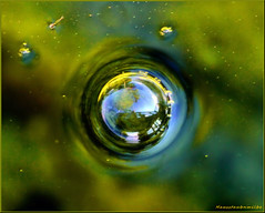 Bubble in the lake ..........