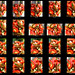 Contact Sheet of Lidia's Balsamic Tomatoes With Onions, Basil, and Mint