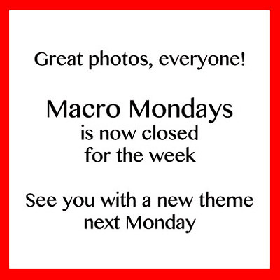 Macro Mondays is closed