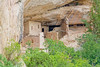 A Look Beyond Nearby Trees to the Spruce Tree House (Mesa Verde National Park)