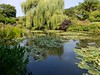 Giverny, Monet's garden