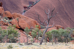 Uluru National Park *