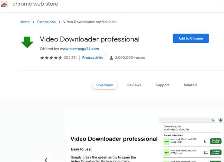 chrome 影片下載器：Video Downloader Professional