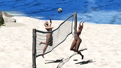 Enjoy beach Volleyball