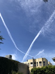 X marks the spot, I guess