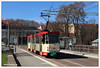 Tram Frankfurt (Oder) - 2024-08