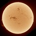 Sun - April 18 2024