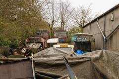 'Out back' at Wythall bus museum, March 2024