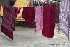 Pink & Purple washing hanging out to dry - Jiaganj Azimgani West Bengal India