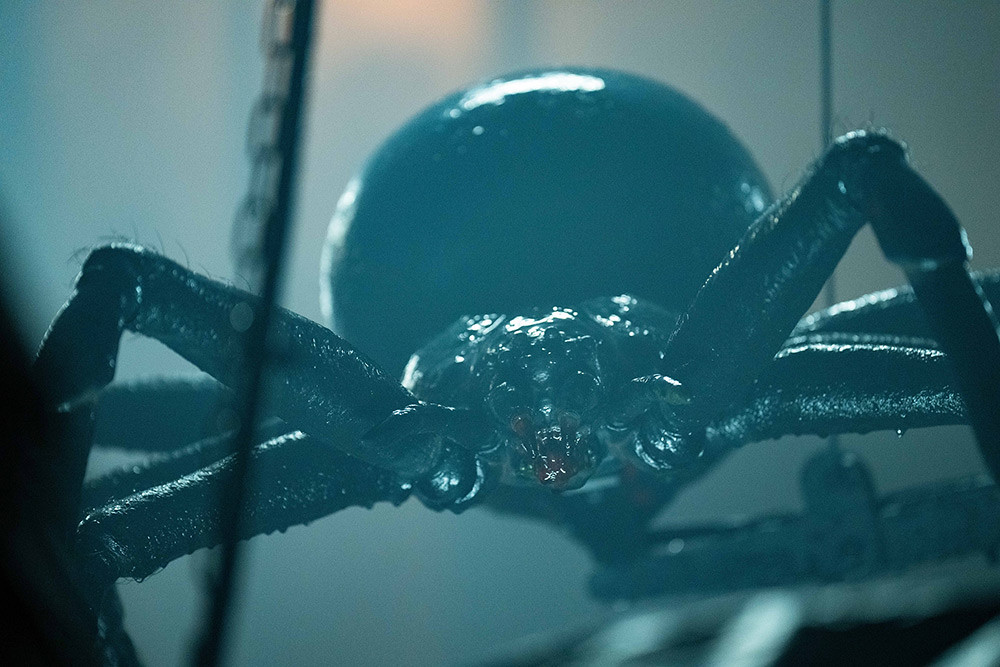002【蜘蛛驚】劇照_導演透露【異形】是本片的靈感來源，並參考紅背蜘蛛的設計來打造巨蛛