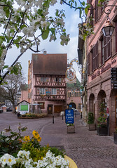 Colmar. Alsace. Haut-Rhin. Grand-Est. France.