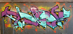 Graffiti in Leake Street 08-19 (67)